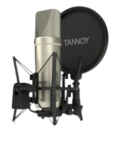 25-252063_recording-mic-png-tannoy-microphone-clipart-234x300-removebg-preview